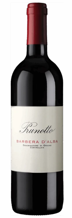 Barbera D'Alba