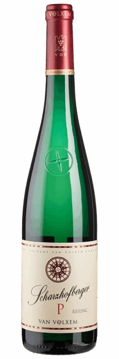 Scharzhofberger Pergentsknopp Riesling Großes Gewächs Trocken
