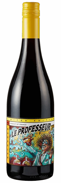 Le Professeur