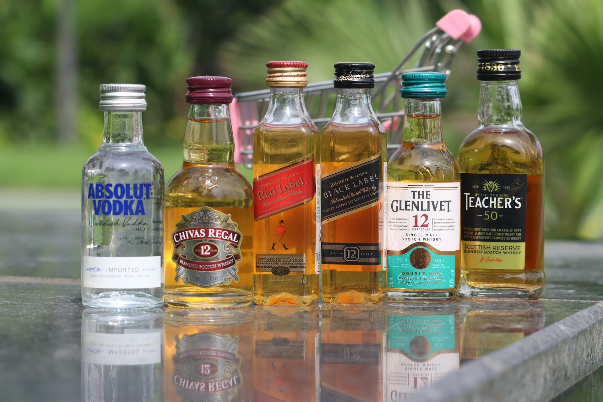 Titelseite -Weinhaus Shop sahil kumar TymSOiuCP E unsplash